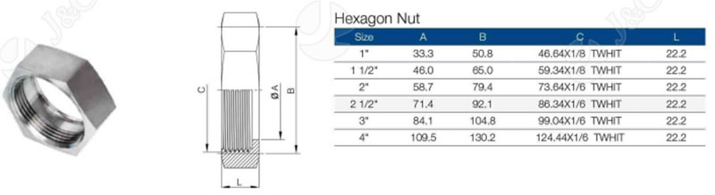 hexagon nut parameter