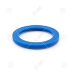 Blue Silicone Gasket For DIN Union