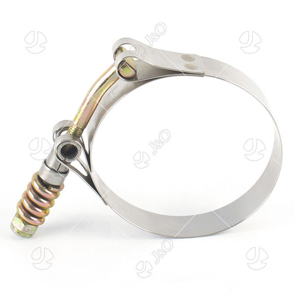 Spring Loaded Stainless Steel T Bolt Clamp