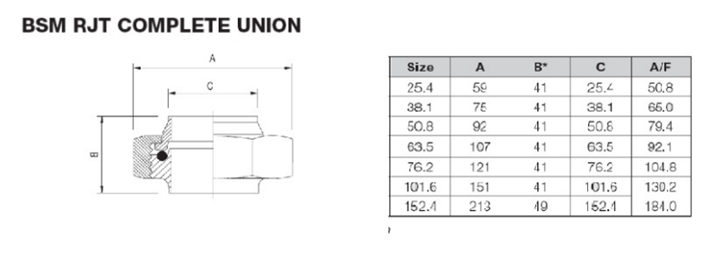 Hygienic Stainless Steel BSM Hexagon Union