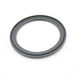 Viton Gasket For Sanitary Stainless Steel Clamp Ferrule Flange Type