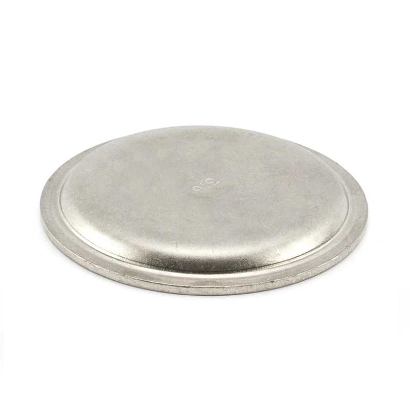 Sanitary Stainless Steel BSM RJT Blank Cap