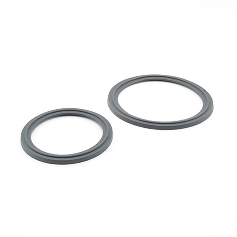 Viton Gasket For Sanitary Stainless Steel Clamp Ferrule Flange Type