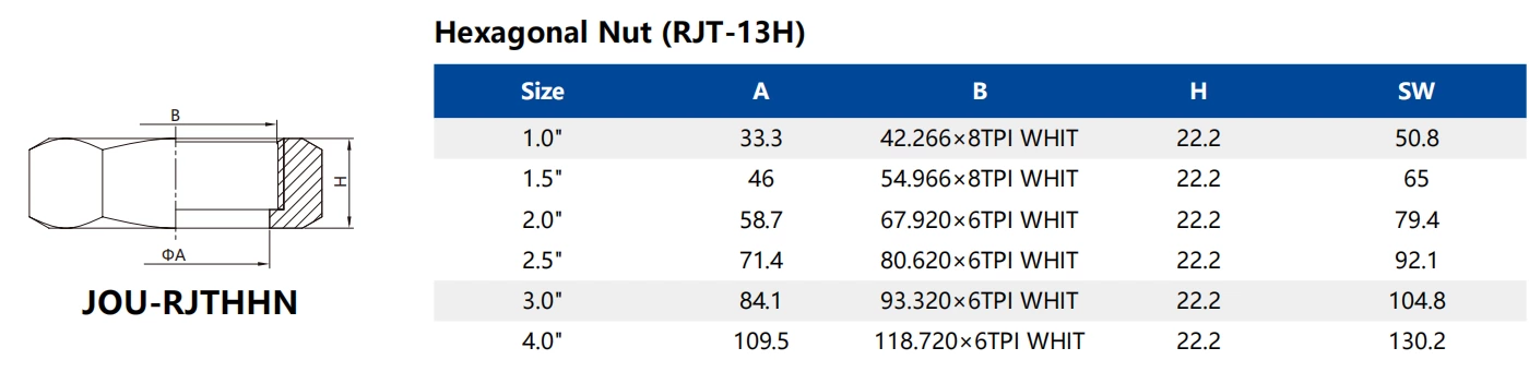 RJT-13H Sanitary Stainless Steel Hexagonal Nut